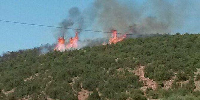 ISPARTA’DA ORMAN YANGINI