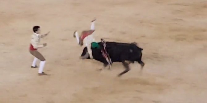 BOĞA GÜREŞİ ÖLÜMLE BİTTİ