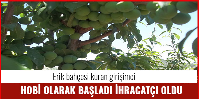 HOBİ OLARAK BAŞLADI İHRACATÇI OLDU