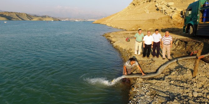 KAHRAMANAMRAŞ'TA 770.000 ADET PULLU VE AYNALI SAZAN YAVRUSU BIRAKILDI