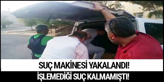 SUÇ MAKİNESİ YAKALANDI! İŞLEMEDİĞİ SUÇ KALMAMIŞTI!