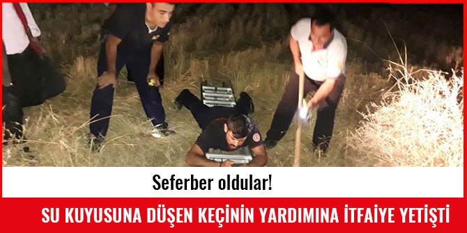 SU KUYUSUNA DÜŞEN KEÇİNİN YARDIMINA İTFAİYE YETİŞTİ