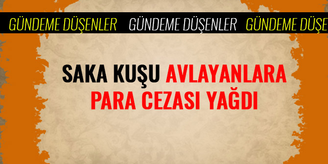 SAKA KUŞU AVLAYANLARA PARA CEZASI YAĞDI