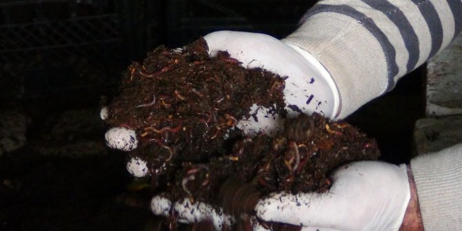 EVİNDE 5 MİLYON SOLUCANLA YAŞIYOR