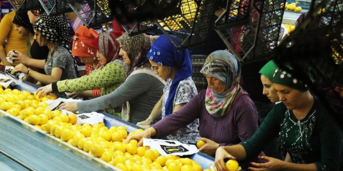 LİMON VE MANDALİNANIN "FAHİŞ FİYAT" YOLCULUĞU