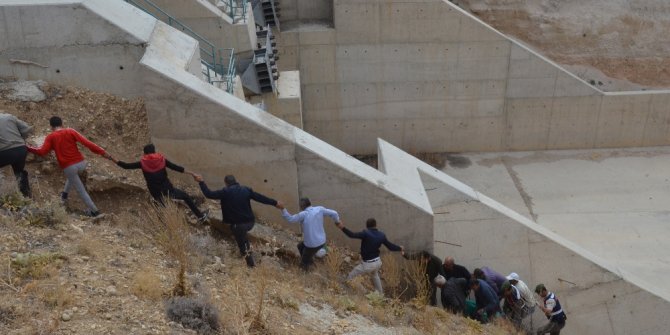 VURDUĞU GÜVERCİN SONU OLDU