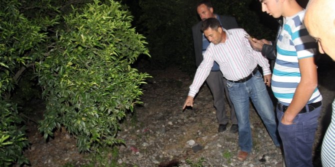 İŞTE PKK’LI HAİNİN ÖLDÜĞÜ PORTAKAL BAHÇESİ