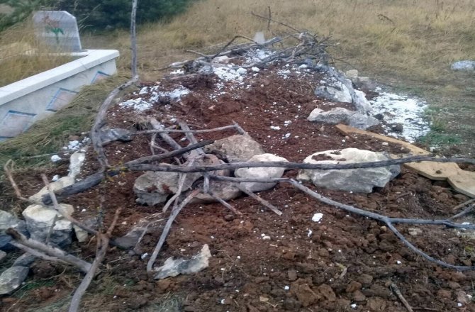 AÇ KALAN AYILAR, MEZARLARA DADANDI