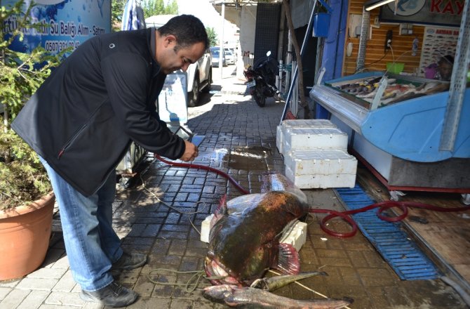 GÖREN BİR DAHA BAKTI