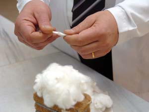 Çiftçiye Para, Tekstile Kalite Getirecek Pamuk