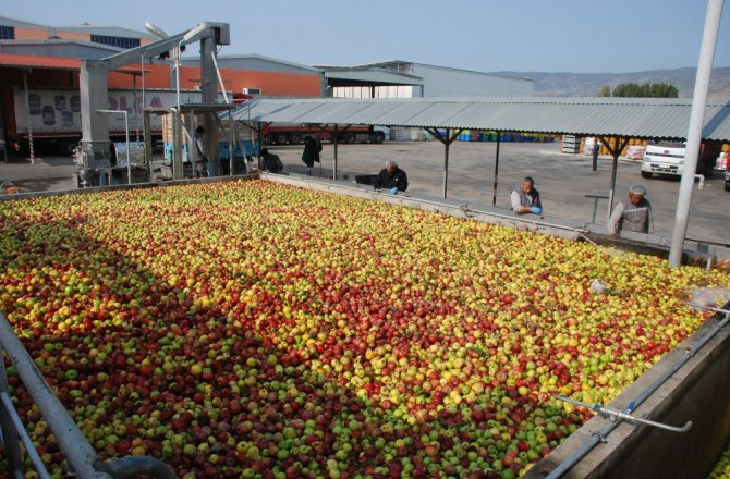 ELMA SUYUNU EN ÇOK ALMANLAR SEVİYOR