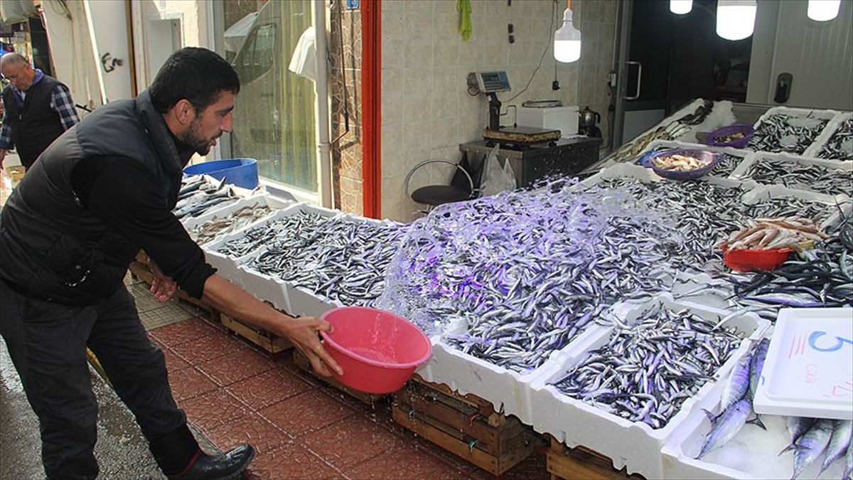 HAMSİ AVI BALIKÇININ YÜZÜNÜ GÜLDÜRDÜ