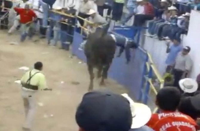 BOĞANIN ÜZERİNDE BAYILDI