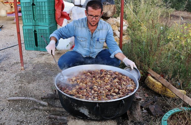 ORGANİK İNCİR PEKMEZİ BÖYLE YAPILIR