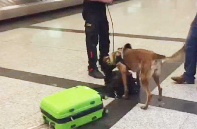 ALMAN YOLCULARA HAVALİMANINDA KÖPEKLİ ARAMA