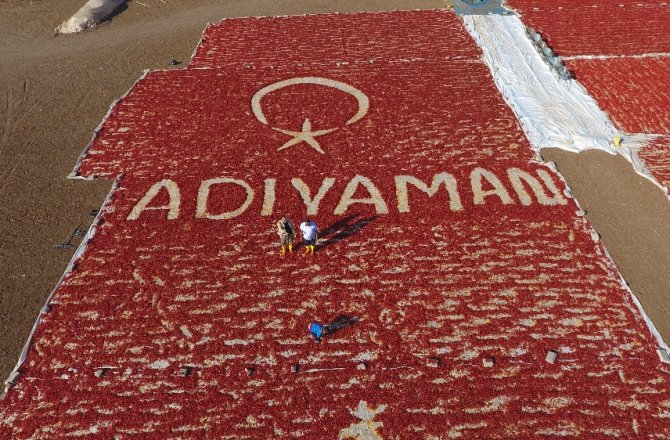 KIRMIZI BİBERLE TÜRK BAYRAKLI GÖRSEL ŞÖLEN