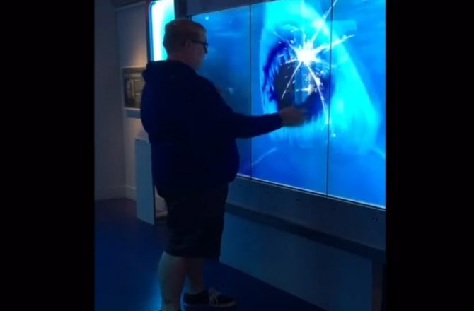 SANAL KÖPEK BALIĞI ÖYLE KORKUTTU Kİ !