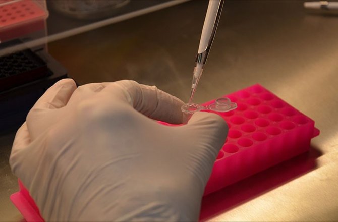 DNA'DAKİ GENOMLARDA DEĞİŞİKLİK YAPMAYI KOLAYLAŞTIRAN ENZİM KEŞFEDİLDİ