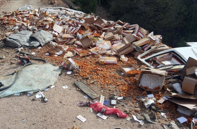 MEYVE YÜKLÜ TIR DEREYE YUVARLANDI: 1 ÖLÜ, 1 YARALI