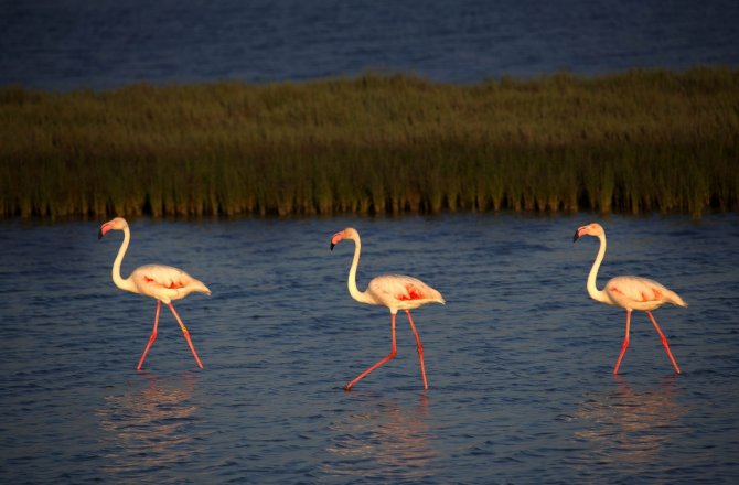 TÜRKİYE’NİN KALBİNDE BİR HARİKALAR DİYARI