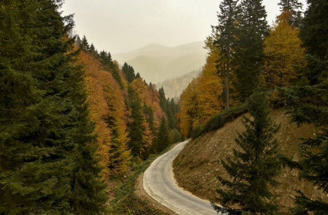 ÖRÜMCEK ORMANLARI SONBAHARDA BİR BAŞKA GÜZEL