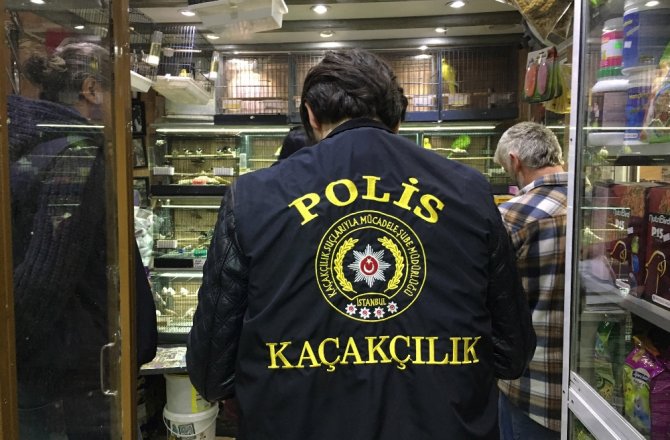 EMİNÖNÜ’NDE HAYVAN PAZARINA SÜLÜK BASKINI