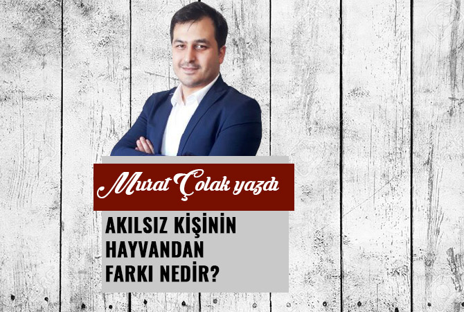 AKILSIZ KİŞİNİN HAYVANDAN FARKI NEDİR?