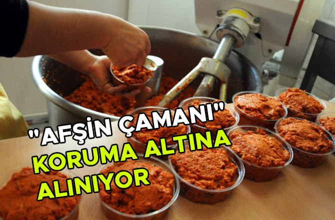 "AFŞİN ÇAMANI" KURUMA ALTINA ALINIYOR