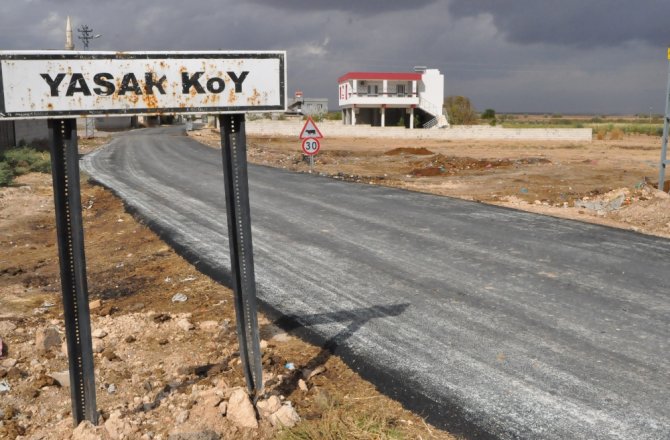 SURİYE SINIRINDA ’KUŞ GRİBİ’ ALARMI