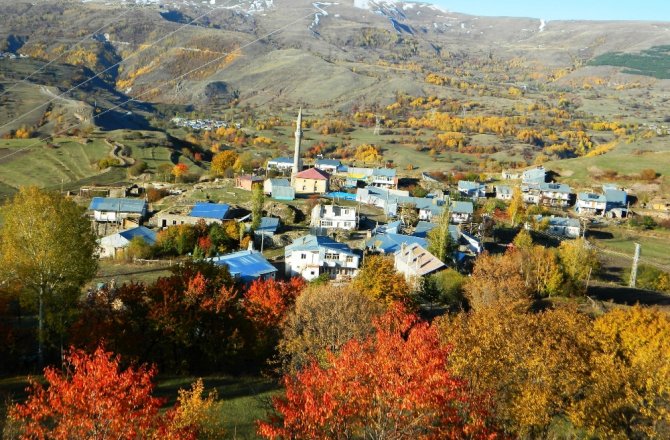 ADETA BİR RENK CÜMBÜŞÜ