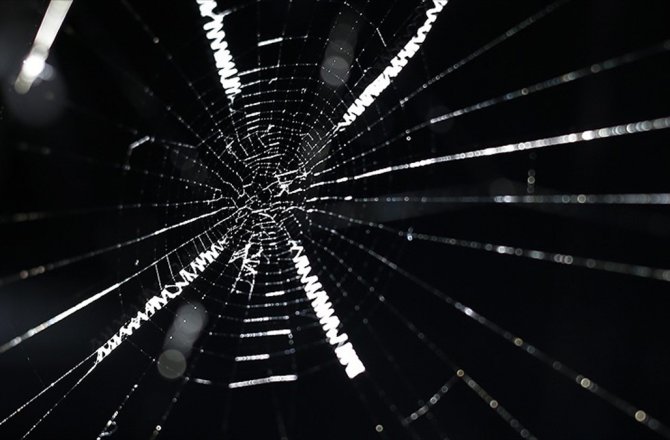 ÖRÜMCEK İPEĞİNDEN HASSAS İŞİTME CİHAZI