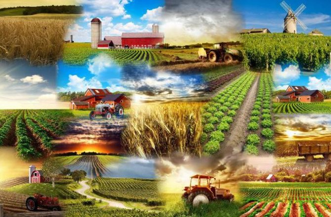 KOOPERATİFÇİLİKTE E-SERTİFİKA DÖNEMİ