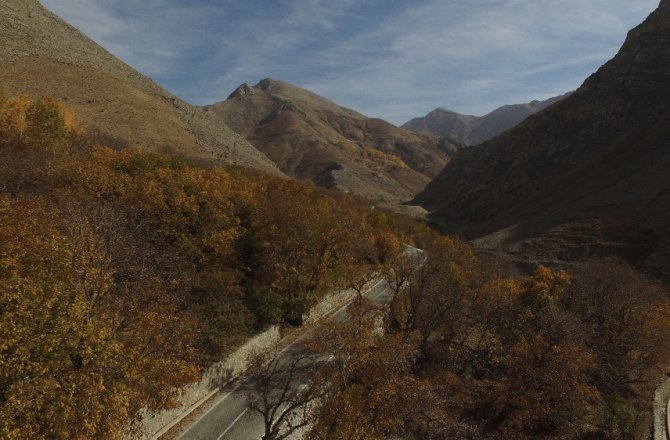 ’SONBAHAR GÜZELLİĞİ’ SERT KIŞIN HABERCİSİ SAYILIYOR
