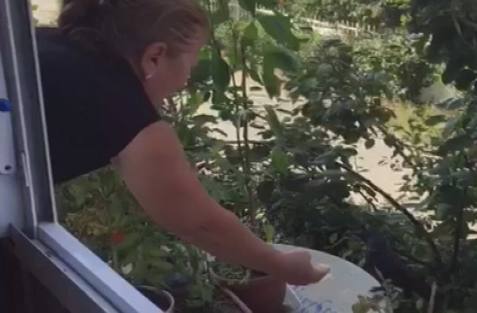 KARGAYI ELLERİYLE BESLEDİ