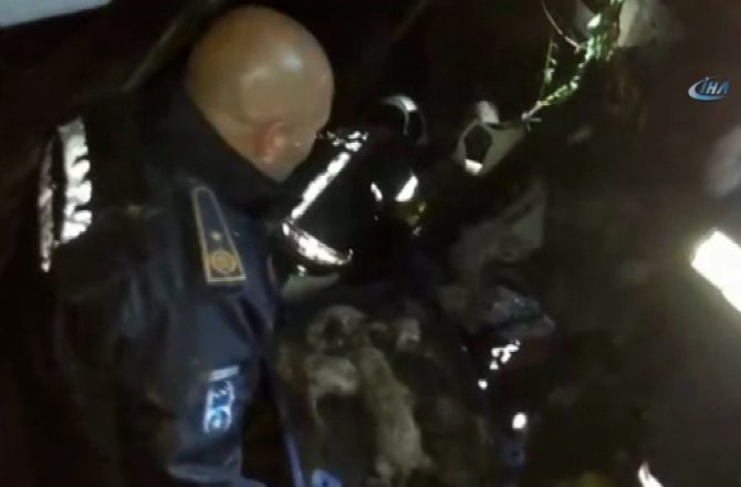 YAVRU KÖPEKLERİ İTFAİYE KURTARDI