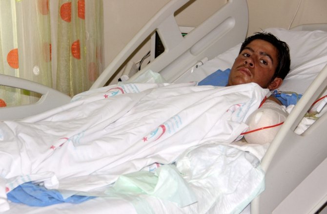 KUŞU KURTARIRKEN KOLLARINDAN OLAN RAMAZAN’A HOŞ SÜRPRİZ