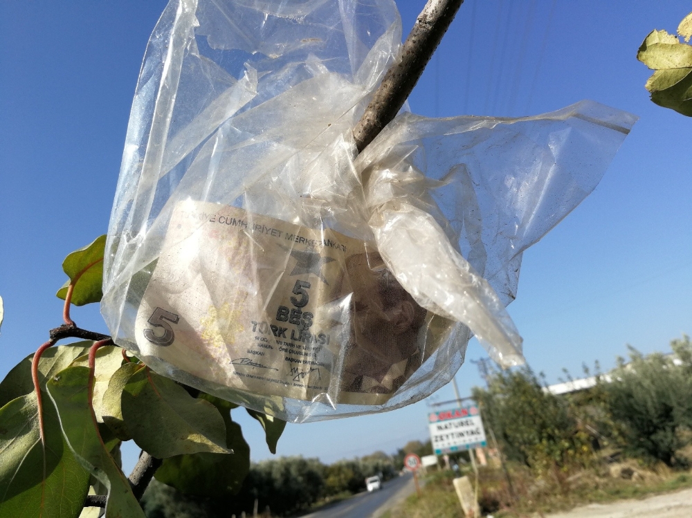 AYVAYI YEDİ, PARASINI ASTI