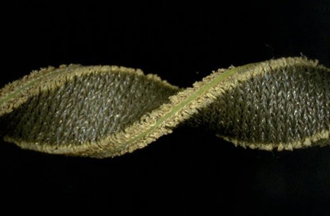 KUMAŞ ÜZERİNE BÜTÜNLEŞİK ELEKTRONİK DEVRELER BASILDI