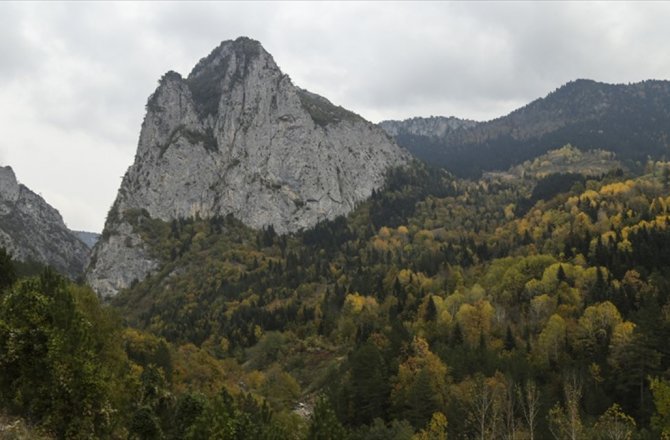 KÜRE DAĞLARINDA SONBAHAR RENKLERİ GÖRSEL ŞÖLEN SUNUYOR