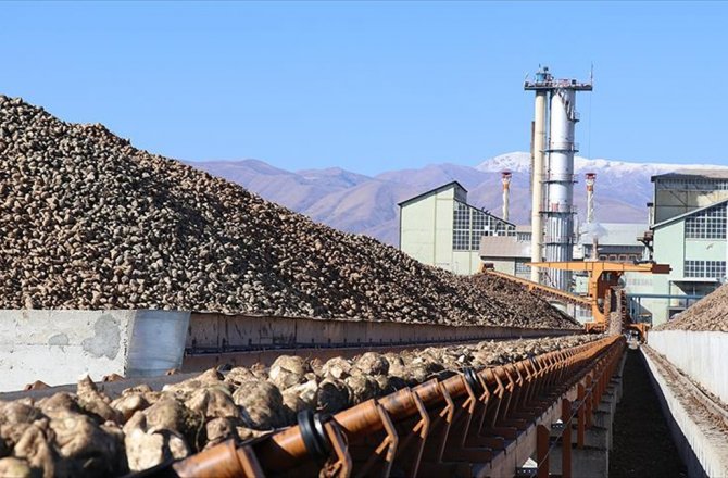 YARIM ASIRDIR EKONOMİYE 'ŞEKER' KATIYOR