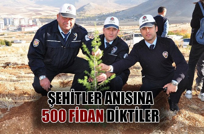 ŞEHİTLER ANISINA 500 FİDAN DİKTİLER
