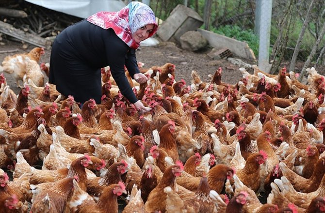 EV HANIMI ORGANİK YUMURTADAN EKMEĞİNİ ÇIKARIYOR