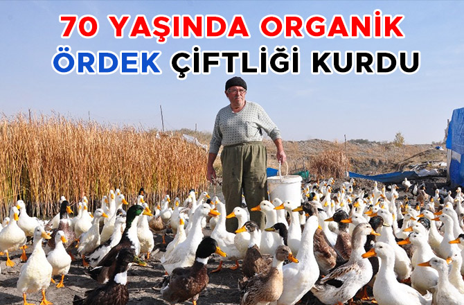 70 YAŞINDA ORGANİK ÖRDEK ÇİFTLİĞİ KURDU
