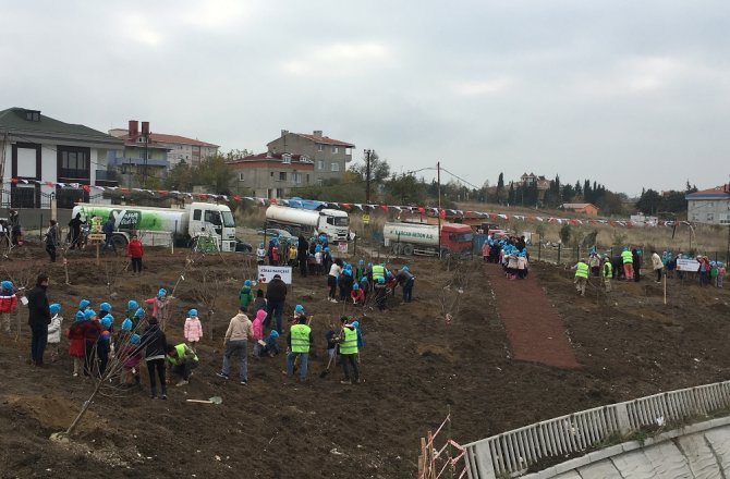 İSTANBUL’A DEV MEYVE ORMANI