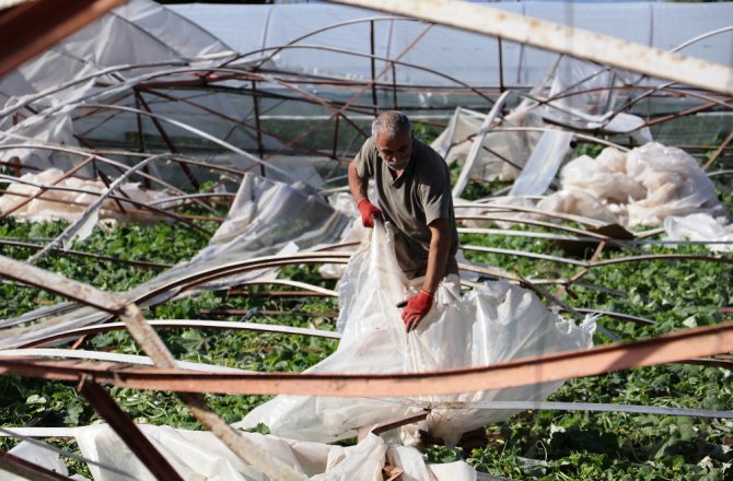 ANTALYALI ÇİFTÇİLERİN YARALARINI DEVLET SARIYOR