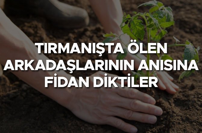 TIRMANIŞTA ÖLEN ARKADAŞLARININ ANISINA FİDAN DİKTİLER