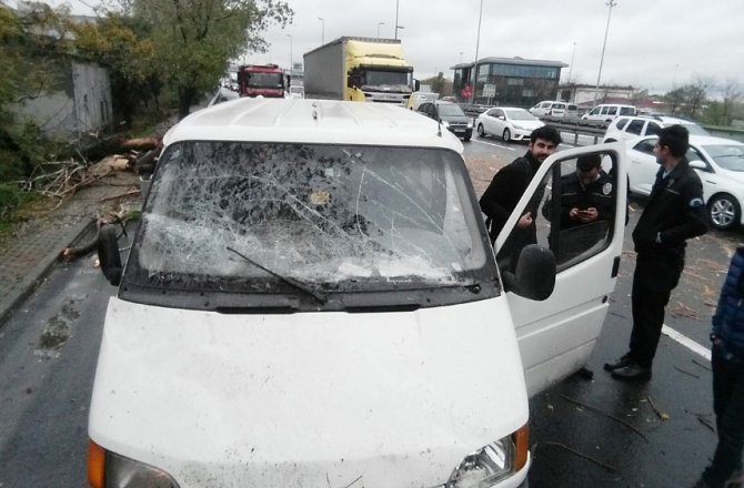 İSTANBUL’DA FIRTINA OTOYOLA AĞAÇ DEVİRDİ