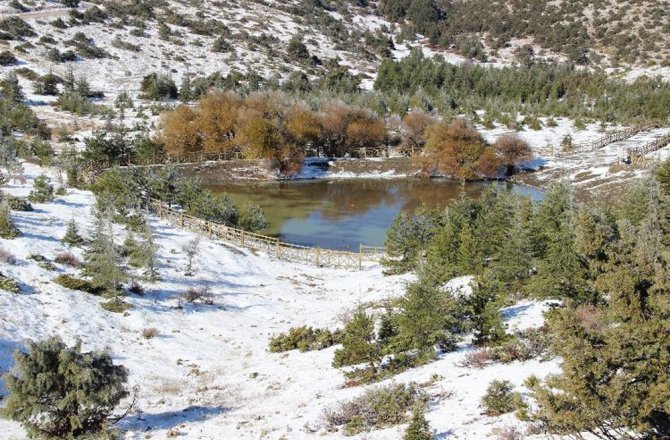 SPİL MİLLİ PARKI’NDAN KAR MANZARALARI