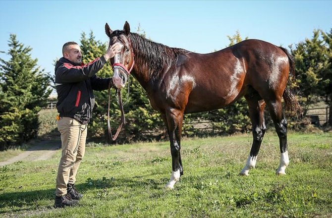 YARIŞMADAN SERVET KAZANDIRIYORLAR