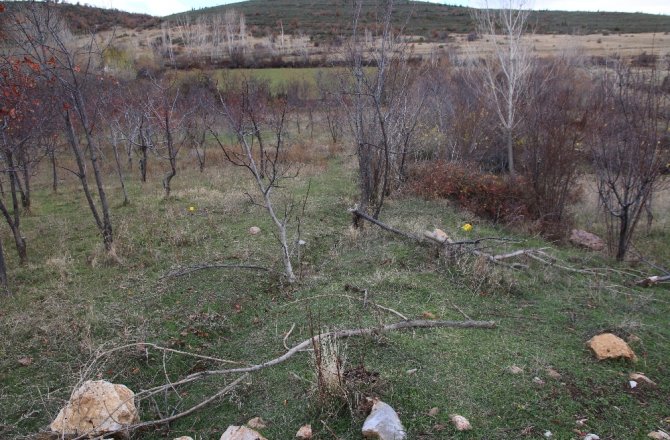 HAYVAN OTLATMA YERİ KAVGASI: 1 ÖLÜ, 1 YARALI